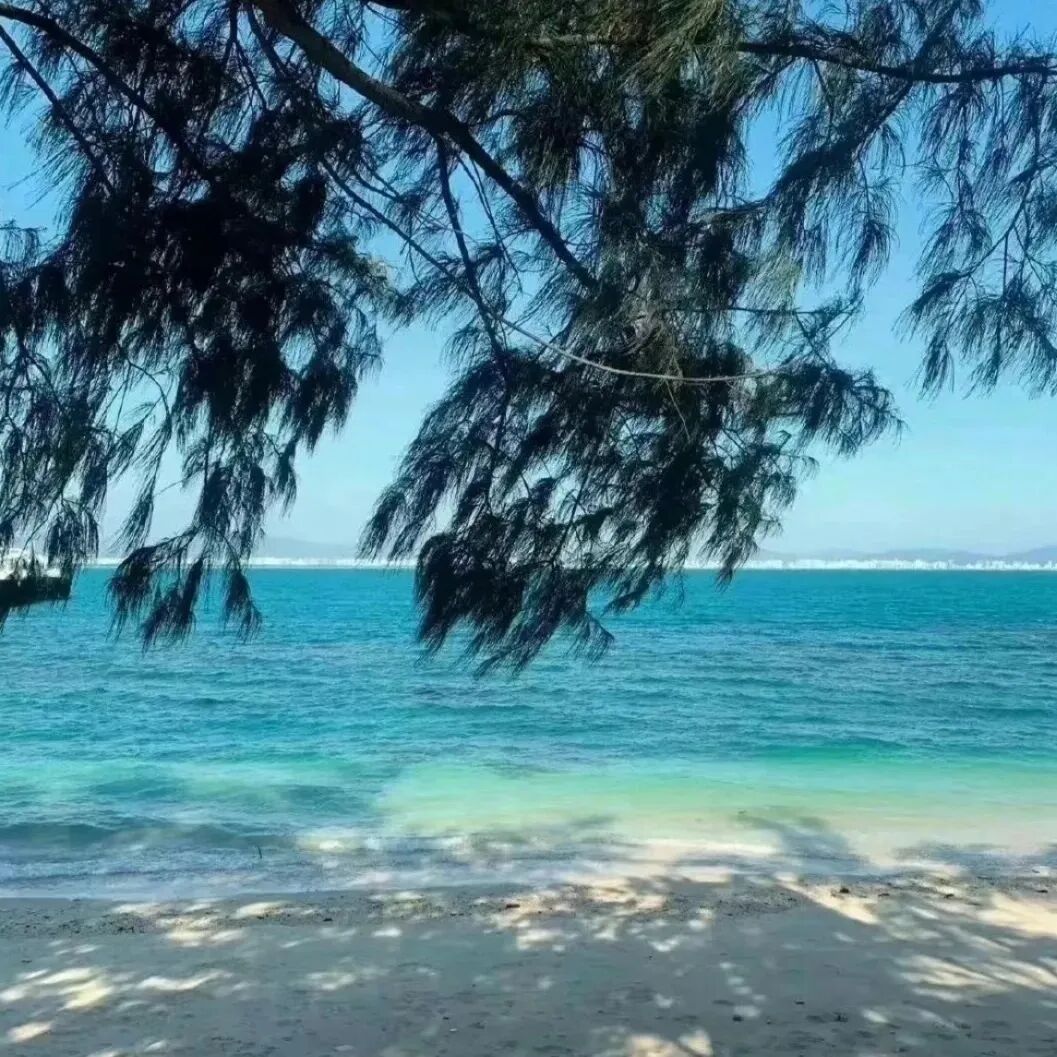 大海朋友圈背景图