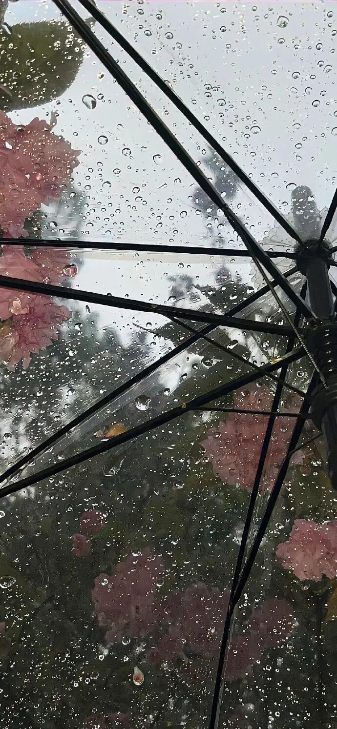 风景