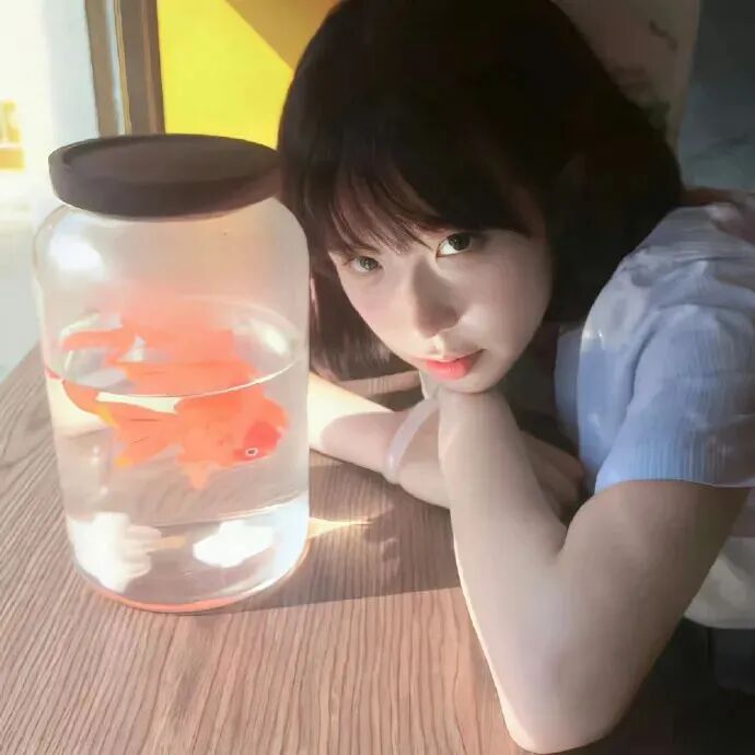 金鱼温柔女生头像