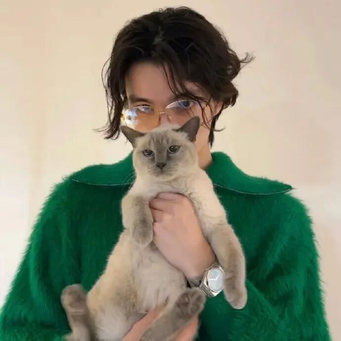 抱着猫咪个性男生头像