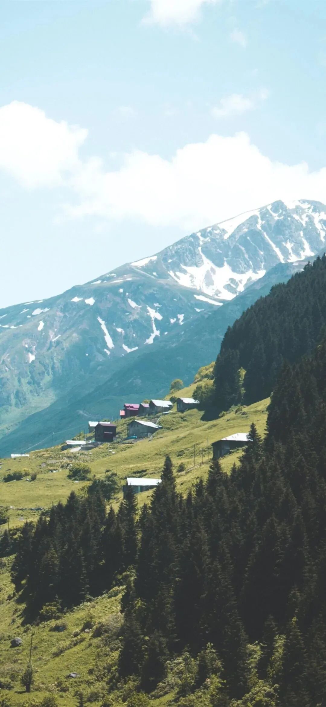 风景