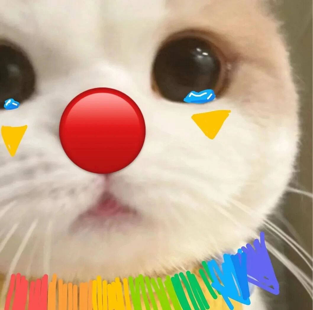 猫咪萌宠头像