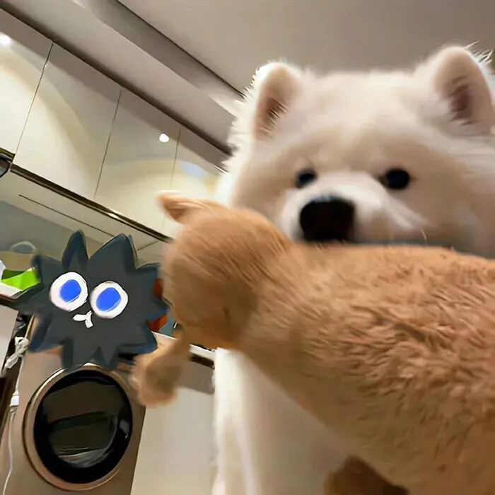 狗狗萌宠头像