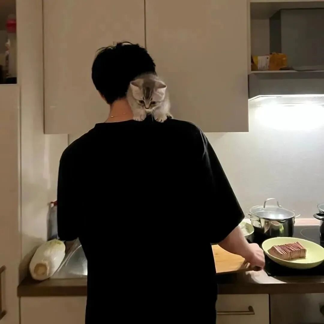 抱着猫咪背影小众不露脸男生头像