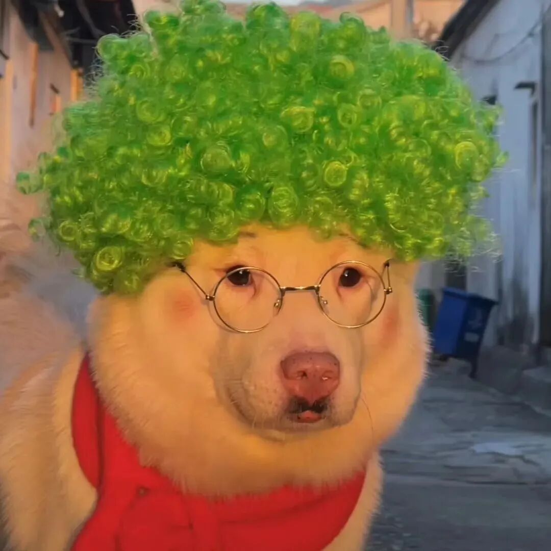 沙雕搞怪狗狗萌宠头像