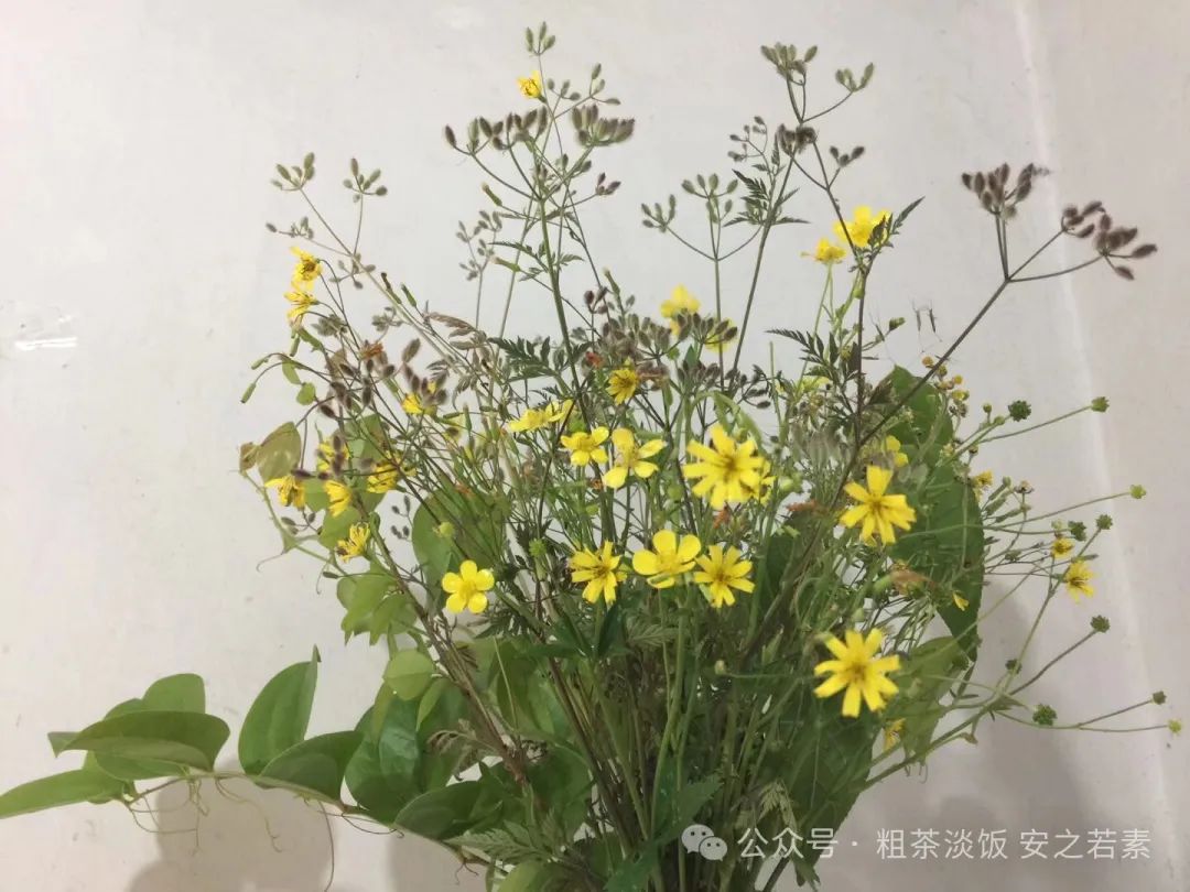 光头三