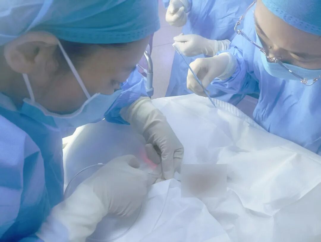 透析护理包是做什么的【惊险】国药同煤总医院：“26周手掌宝宝+出生仅3天”｜完成我市首例罕见新生儿腹膜透析置换术！_https://www.jmylbn.com_新闻资讯_第5张