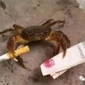 月薪4000的家庭，晚餐都吃啥？不剩菜、不浪费，每餐不超十元