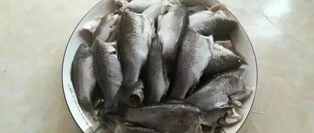 秋天遇到这小河鱼别错过，非人工养殖，好吃不贵，下酒又下饭