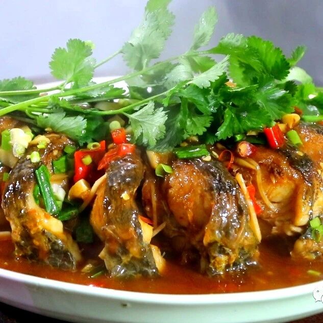 被人“误解”最深的鱼，浑身是宝，比甲鱼营养，6元1斤却没人吃