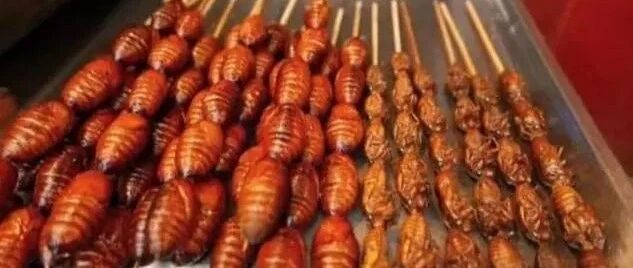 北方人最爱的4种烧烤，南方人望而却步，没一样敢吃的