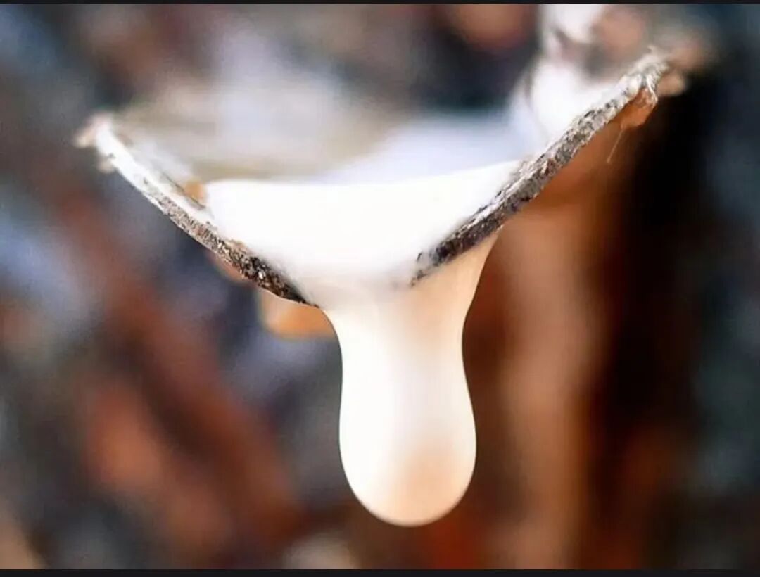 乳胶凉席好么_乳胶凉席好吗?能凉快吗?_乳胶凉席好还是凉席好