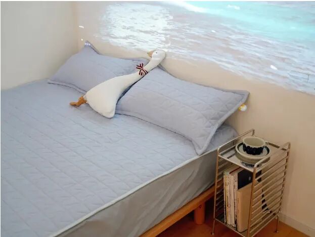 乳胶凉席好么_乳胶凉席好吗?能凉快吗?_乳胶凉席好还是凉席好