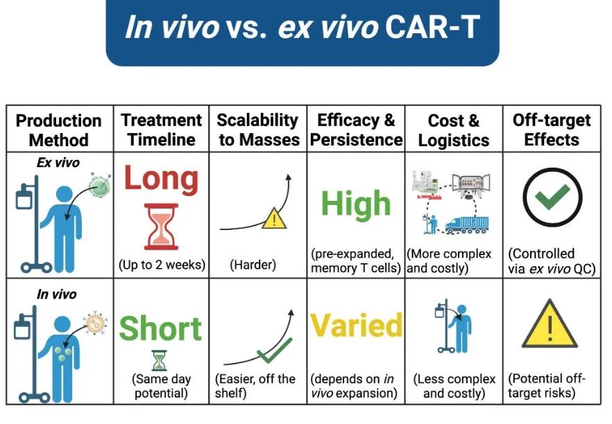 In vivo CAR-T： MNC 还在看？