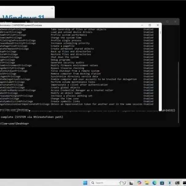 Example Image
