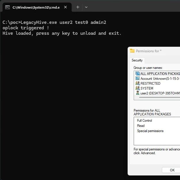 Example Image
