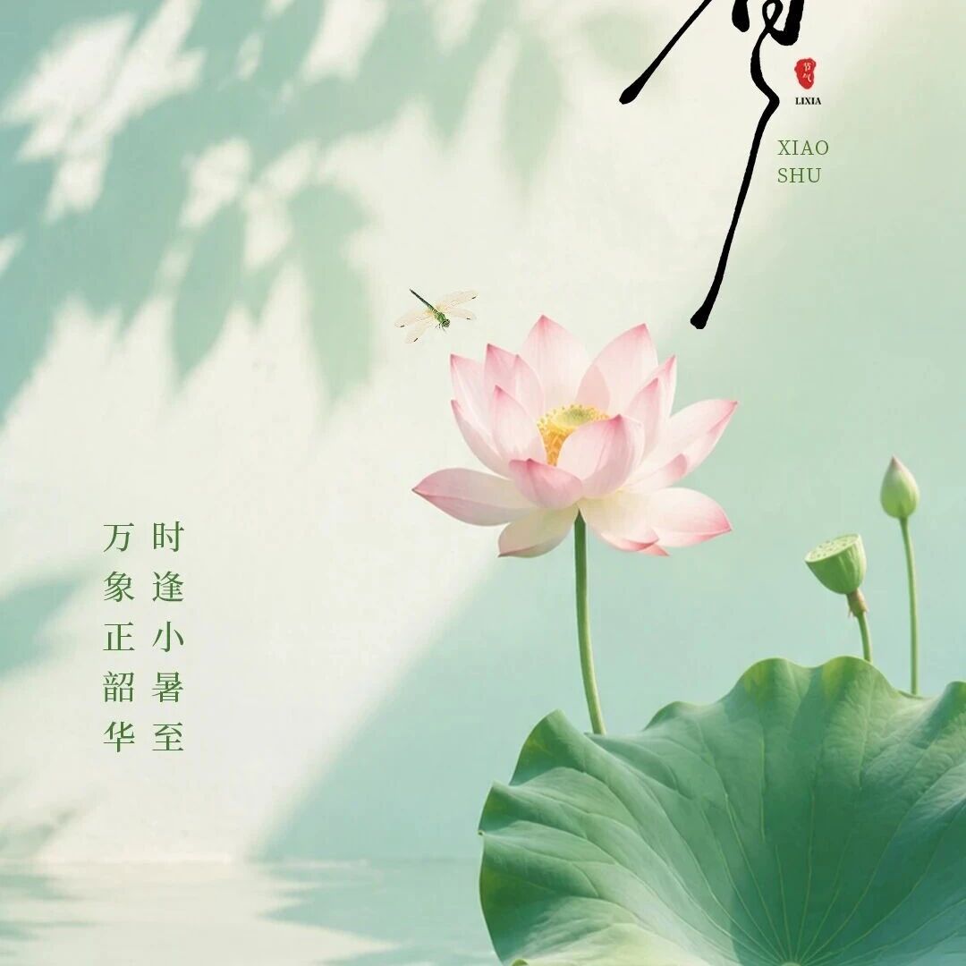 云阳青商会