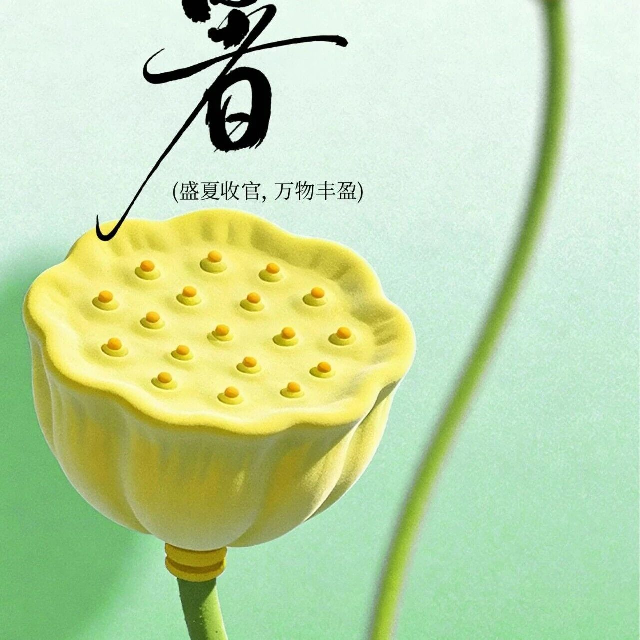 云阳青商会