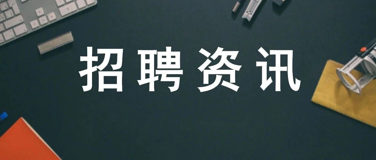 江西省人才发展集团有限公司2026年实习