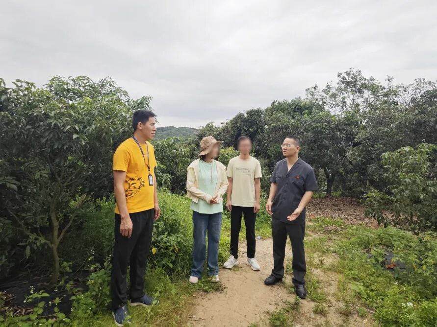 法官联合司法所调解涉荔枝纠纷