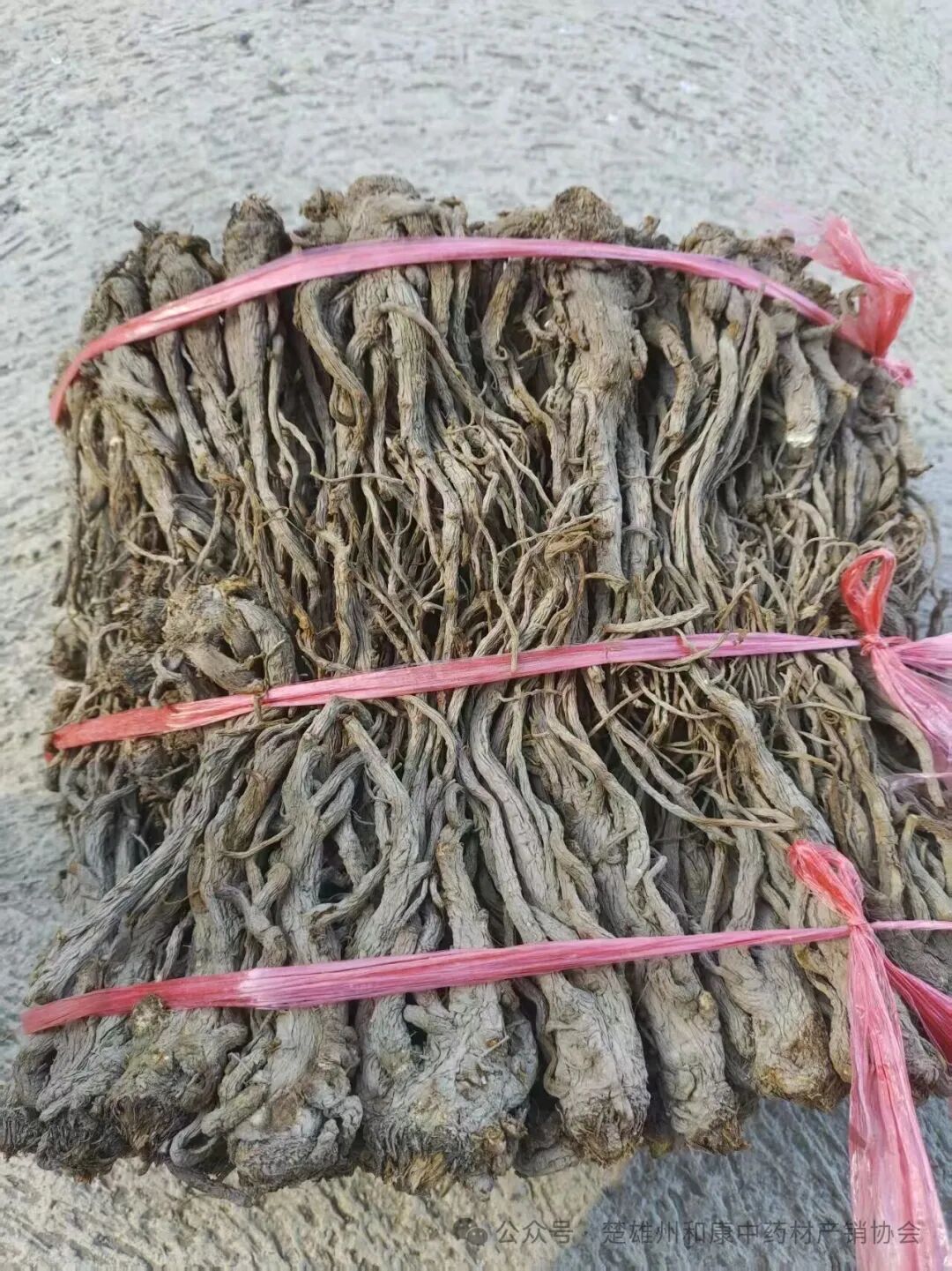 云南中药材产地快讯