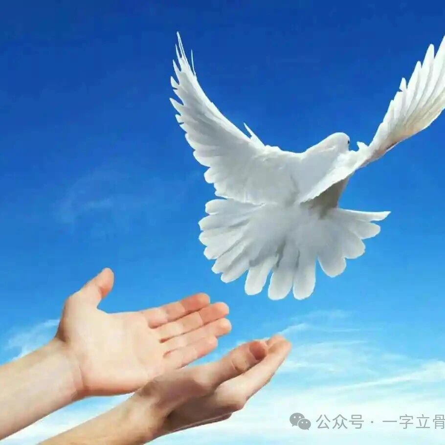 【青春语文•晓东专栏】一字立骨陈忠实《我的白鸽》