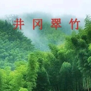 【青春语文·晓东专栏】一字立骨《井冈翠竹》
