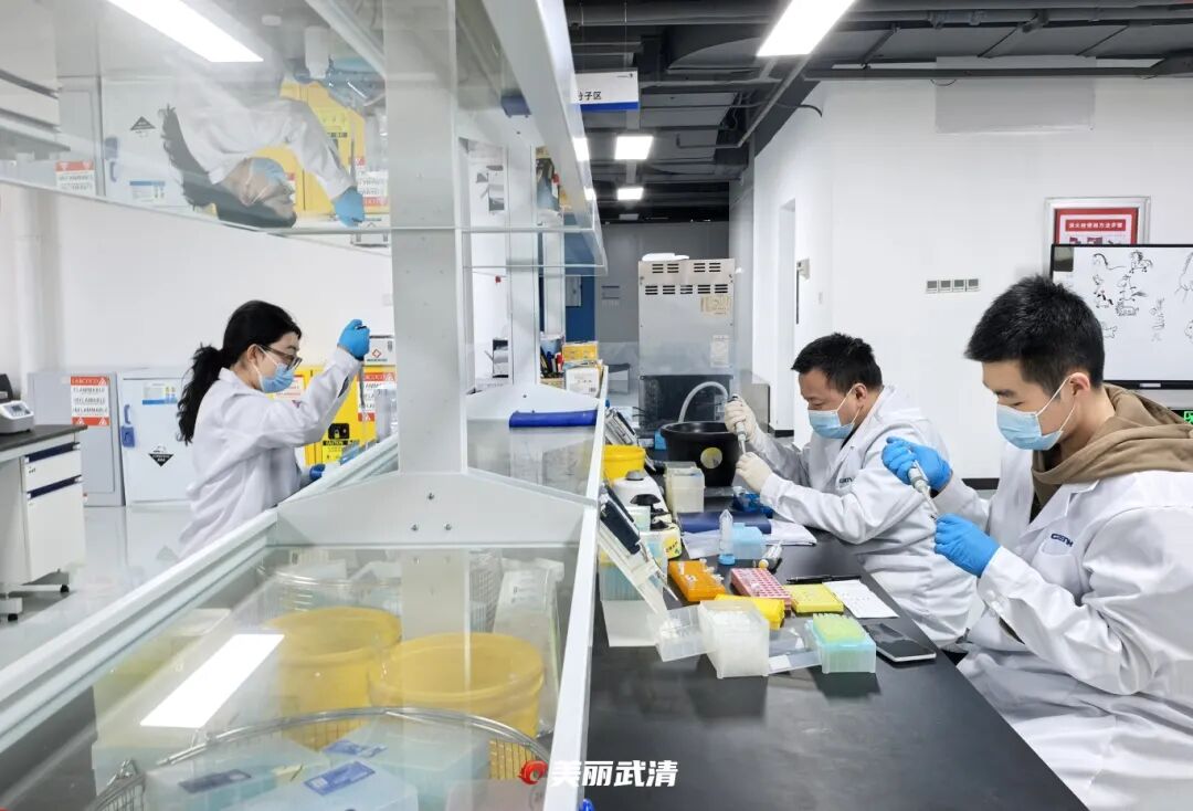 中吉智药×武清：共筑基因治疗新高地(图4)