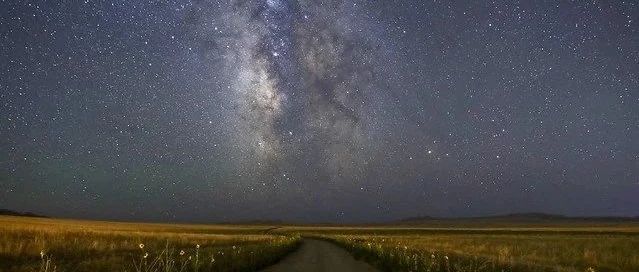 cover_image