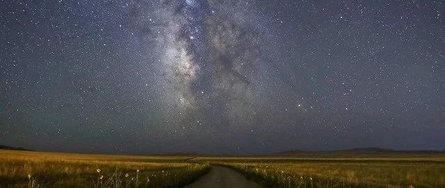 cover_image