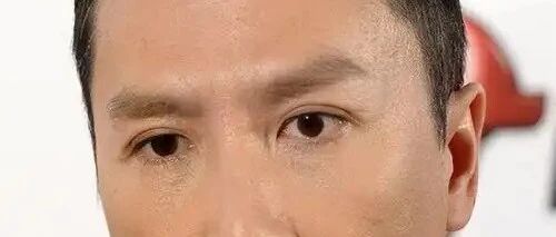 甄子丹点赞广东机器人