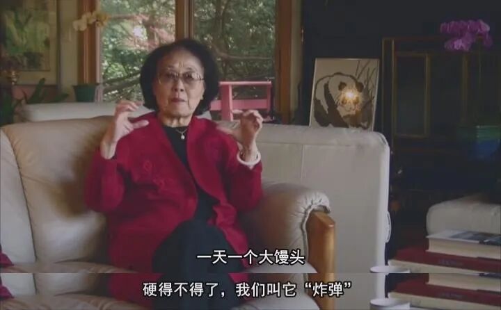 8.7分神作!吊打所有大女主!内娱算个屁!她才配叫国产顶流!