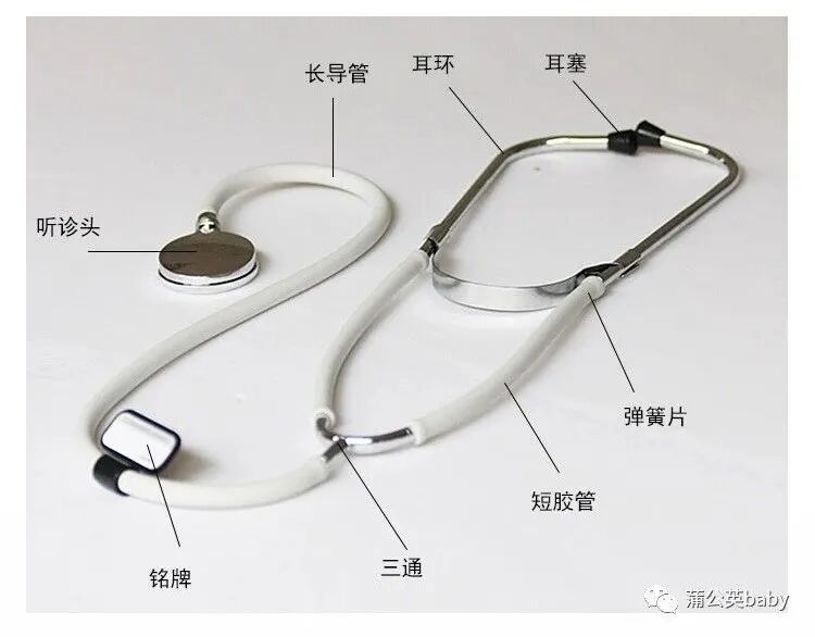 听诊器怎么用家用小器材 ｜ 听诊器_https://www.jmylbn.com_新闻资讯_第2张