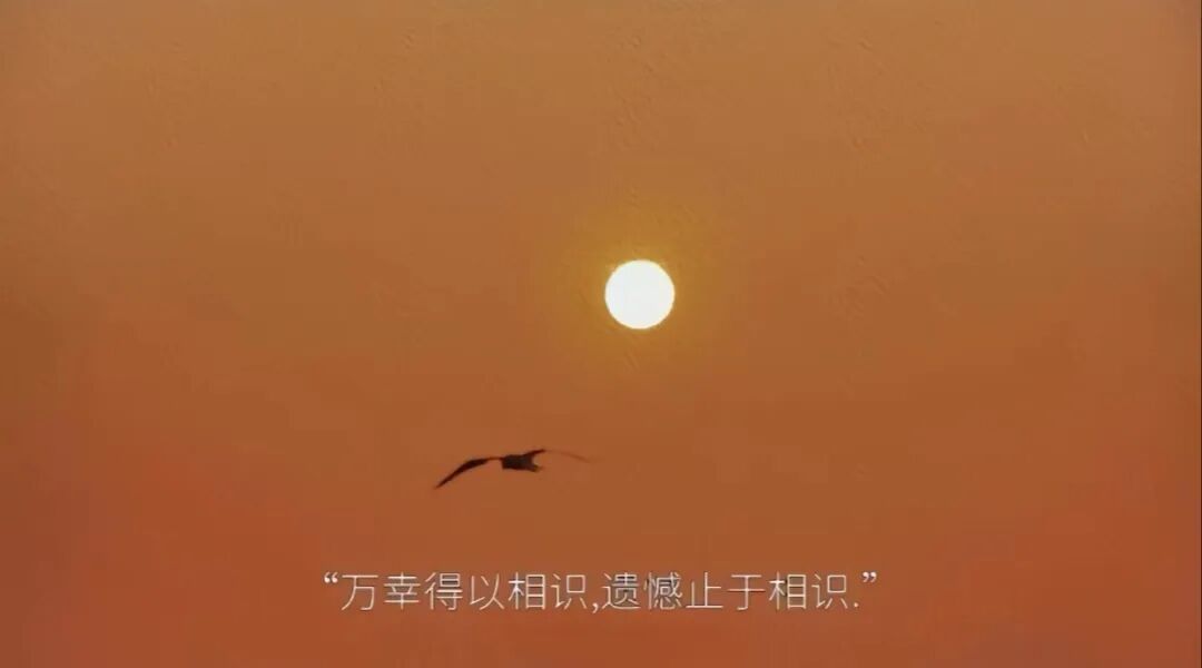 你会在朋友圈宣泄负面情绪吗？