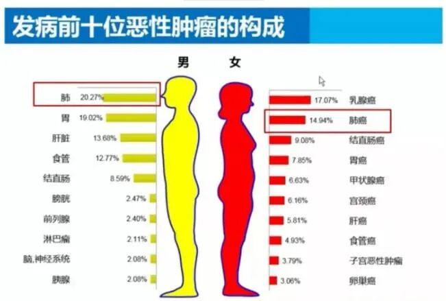 https://mmbiz.qpic.cn/sz_mmbiz_jpg/zwAHqeX8UGmCoLmctP2oUxwvfW3icGnFlUJd1Cwanf7vac9ibadG1V9ecr2kbzgiba7rbEqj4RsnkXN8R7jxpHleQ/640?wx_fmt=jpeg