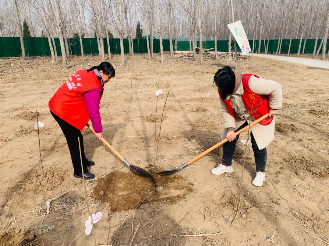 植树节活动图片大全图片