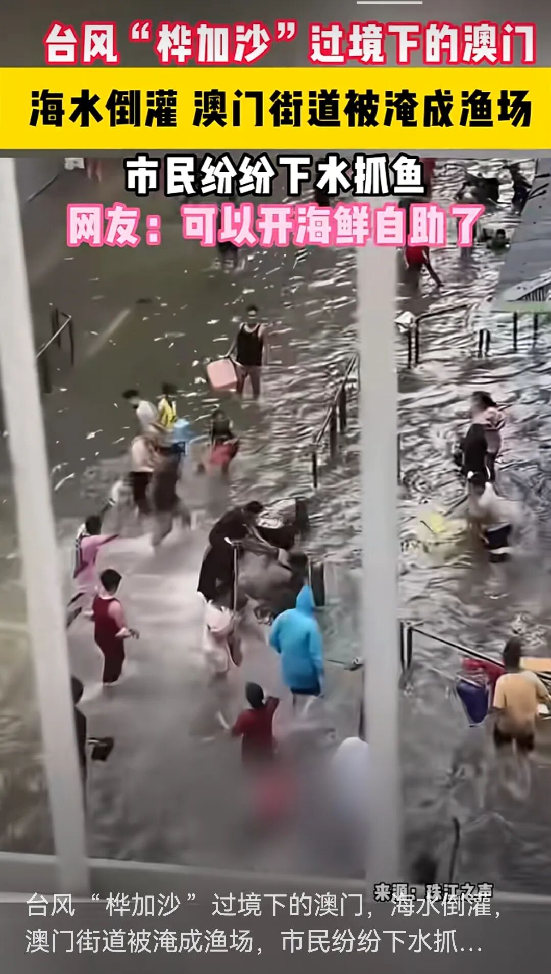 澳市民开启捉鱼模式,澳门挂十号风球，市民街头捕鱼乐翻天！