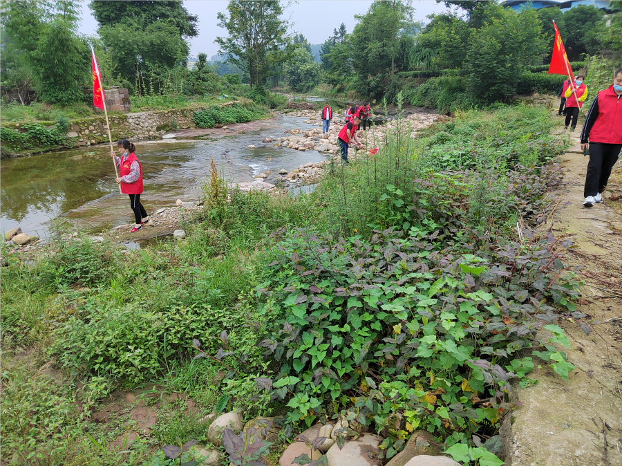名山区马岭镇:党员干部"领跑"人居环境整治 雅安频道 四川新闻网