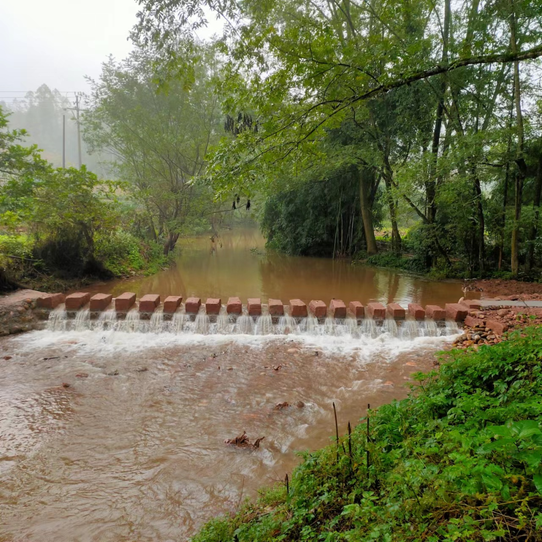 名山区马岭镇:党员干部"领跑"人居环境整治 雅安频道 四川新闻网