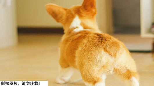 洗肛门怎么洗屁股洗不对，痒、痛、痔疮…都可能找上门！怎么预防？答案全在这…_https://www.jmylbn.com_新闻资讯_第1张