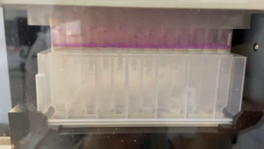 自動(dòng)化助力蛋白質(zhì)組學(xué)樣本高質(zhì)量制備