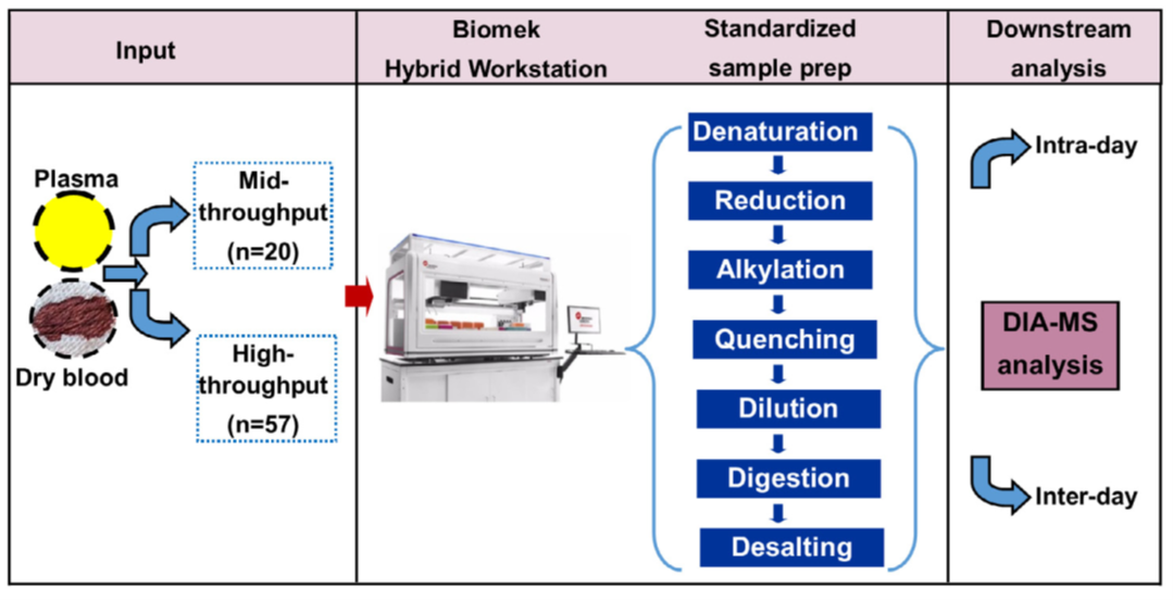 自動(dòng)化助力蛋白質(zhì)組學(xué)樣本高質(zhì)量制備