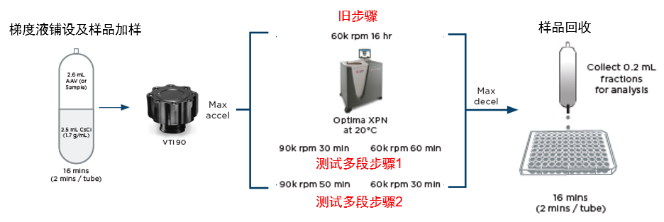【超離應用】快速密度梯度形成技術，優(yōu)化病毒載體純化流程