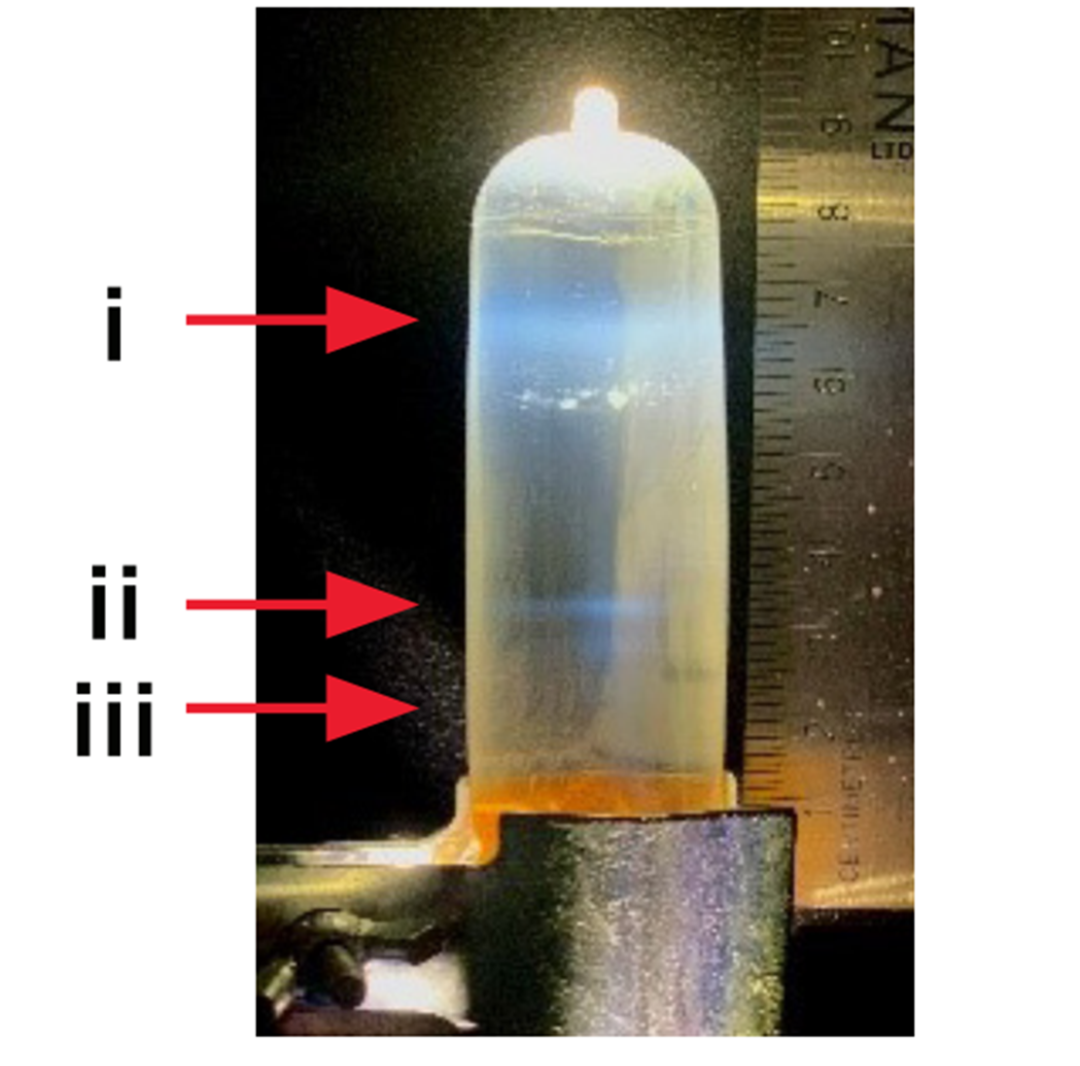 【超離應用】快速密度梯度形成技術，優(yōu)化病毒載體純化流程