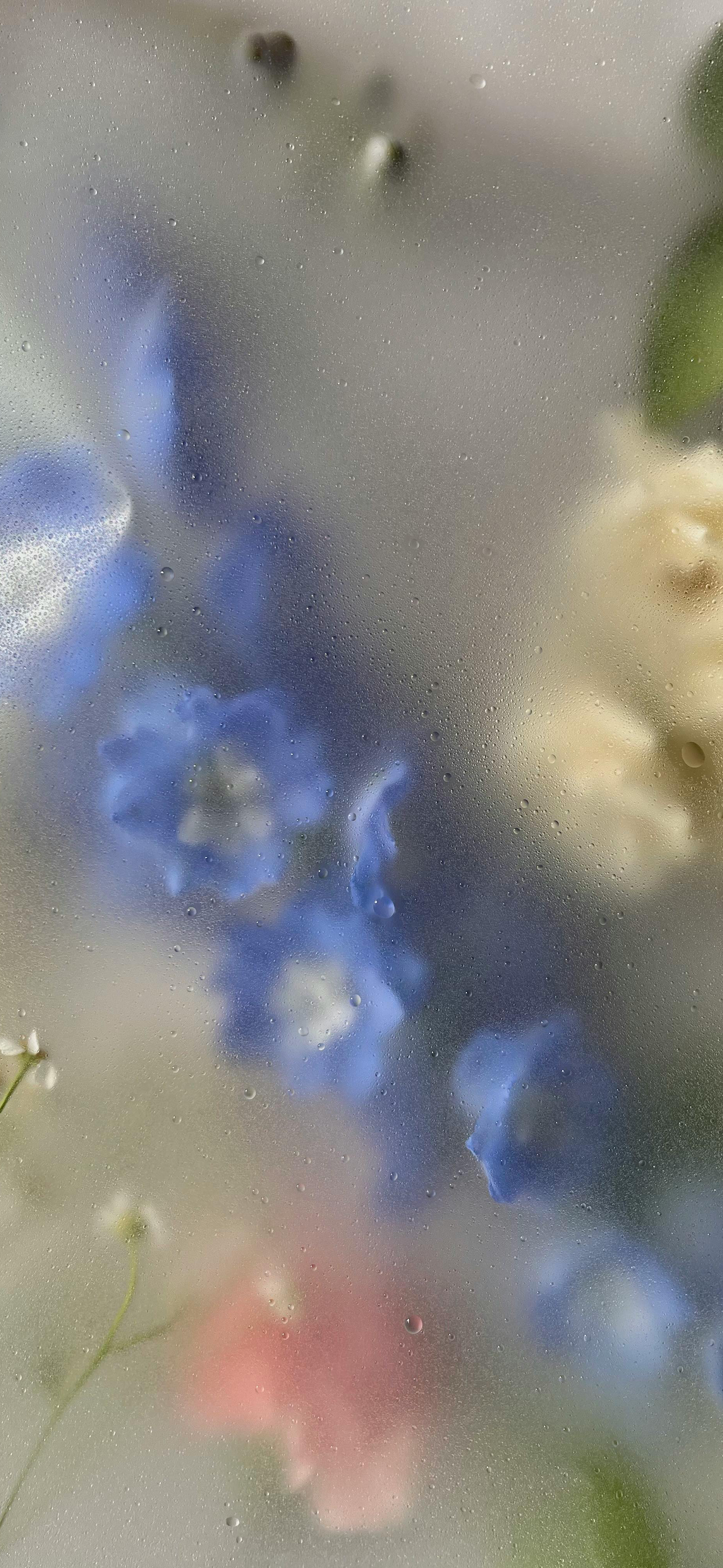 又发现一张还不错的手机壁纸