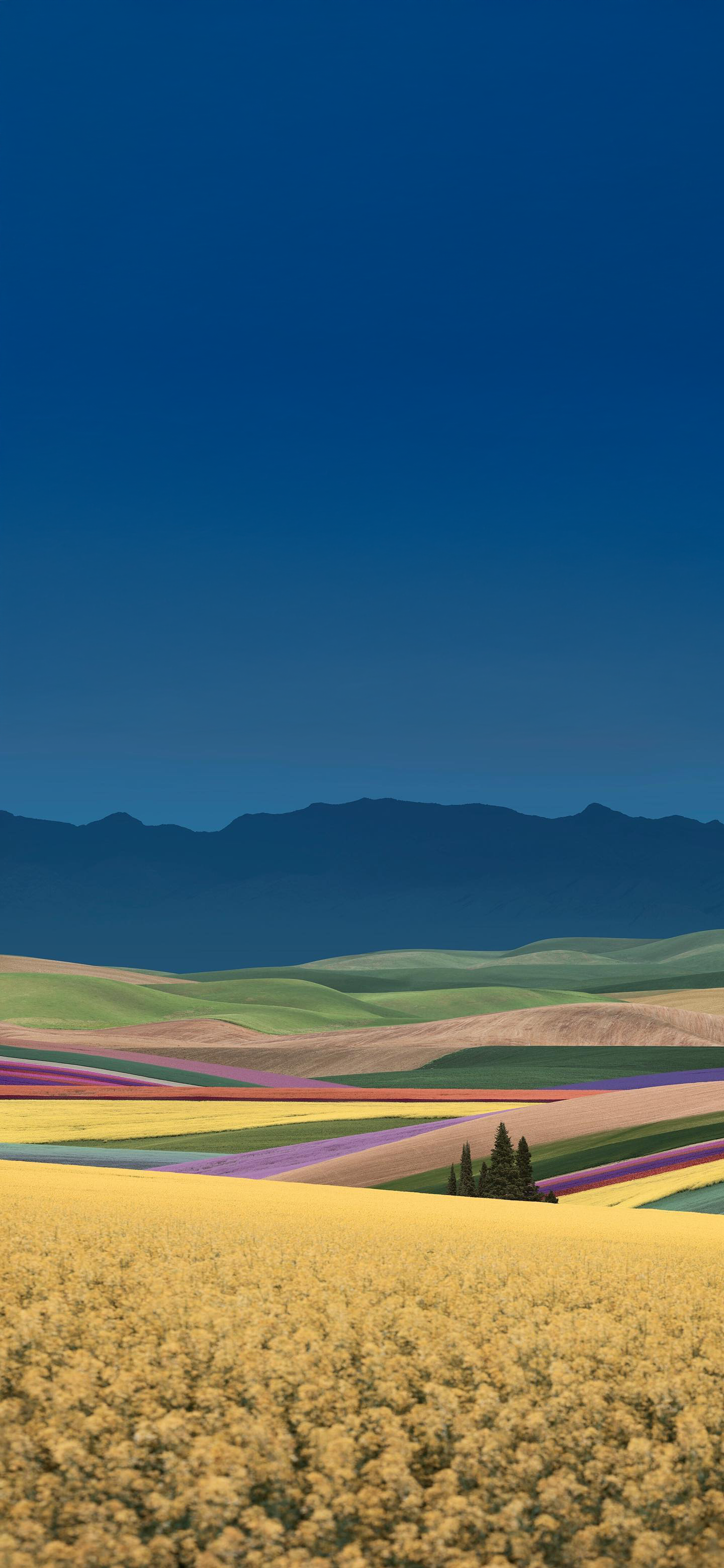 又发现一张还不错的手机壁纸