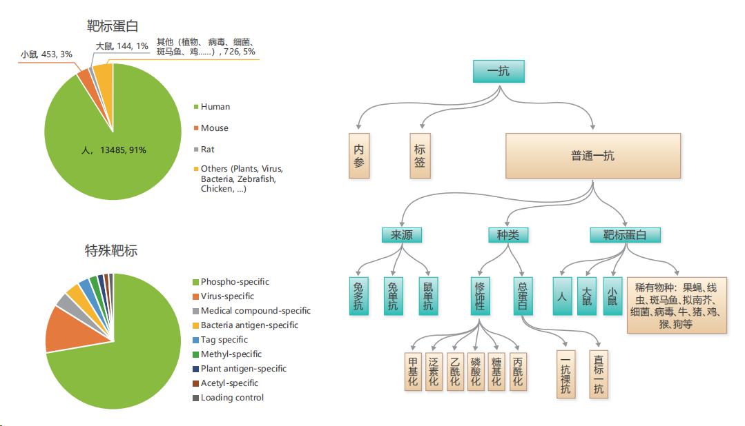 展會邀請 | 博奧森生物誠邀您共聚杭州免疫學大會！