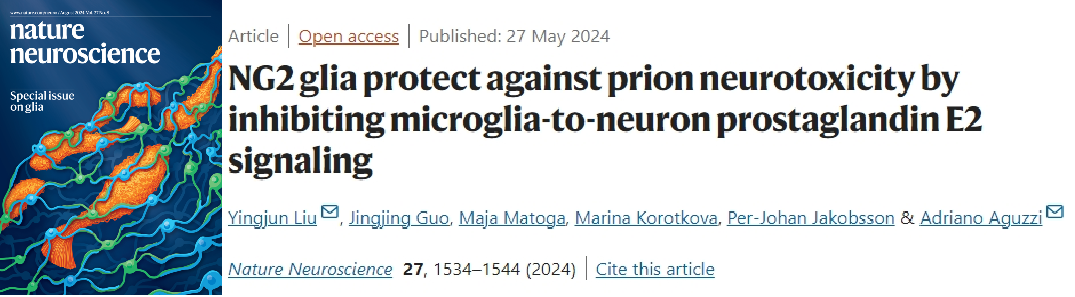 博奧森 5月文獻(xiàn)戰(zhàn)報(bào)
