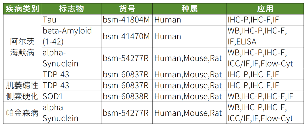 神經(jīng)細(xì)胞、神經(jīng)退行性疾病標(biāo)志物有哪些？一文速覽！