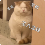 教资面试结构化奇葩VS正常